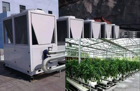 農業大棚采暖有新招，空氣源熱泵再獲佳話